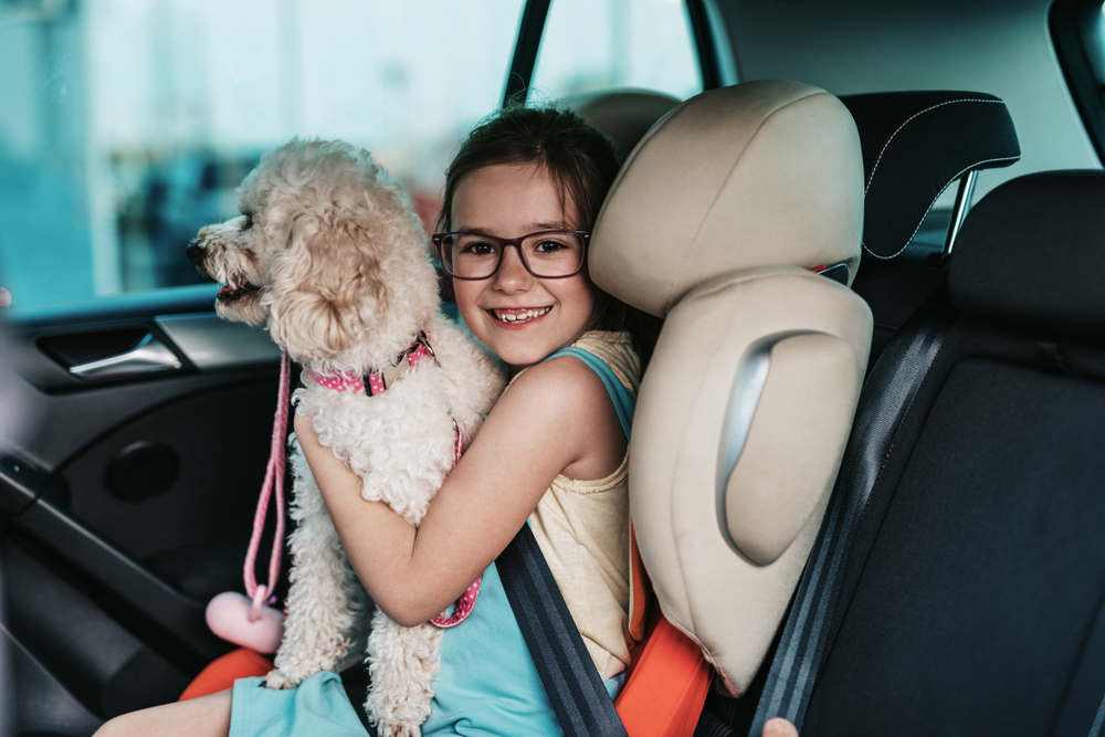 Les enfants & les animaux en voiture : les règles à suivre